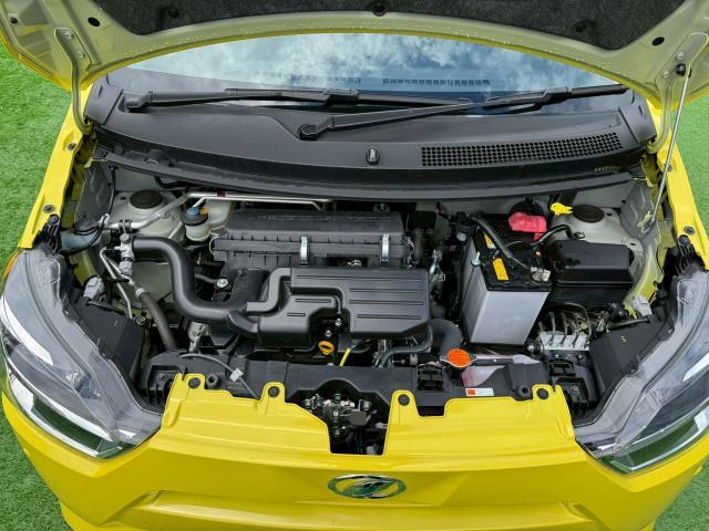 23700367_carP_l_12.jpg