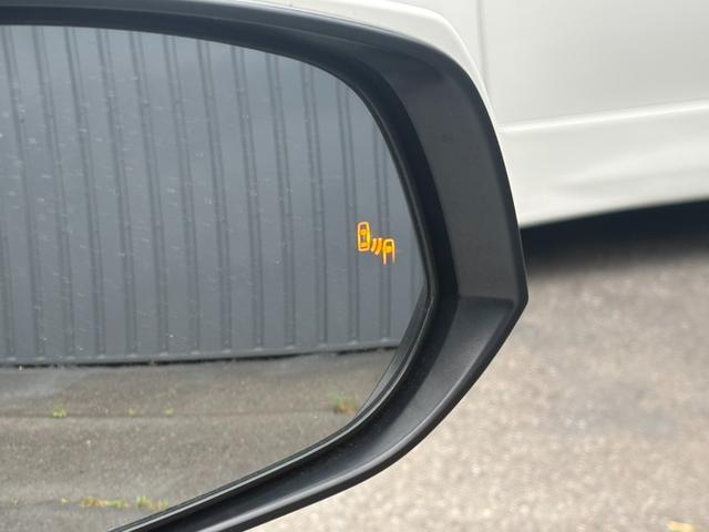 23555230_carP_l_19.jpg