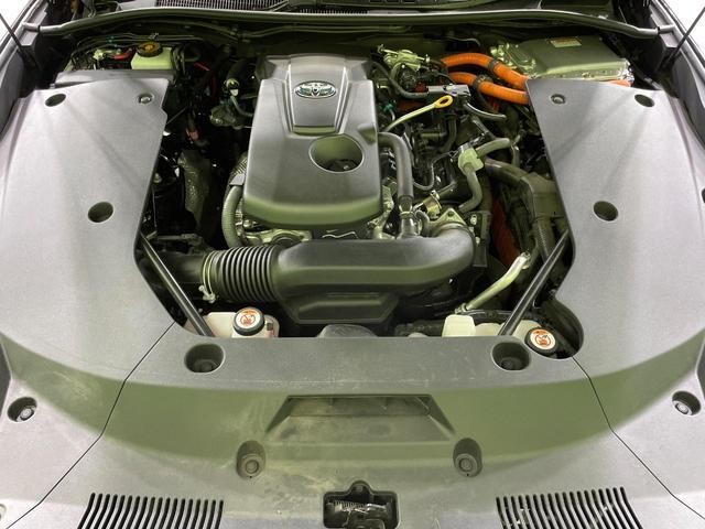 26380495_carP_l_16.jpg