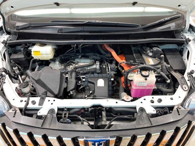 24932370_carP_l_16.jpg