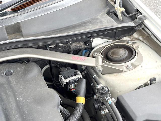 24461449_carP_l_14.jpg