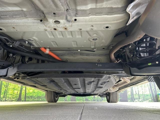 25754933_carP_l_18.jpg