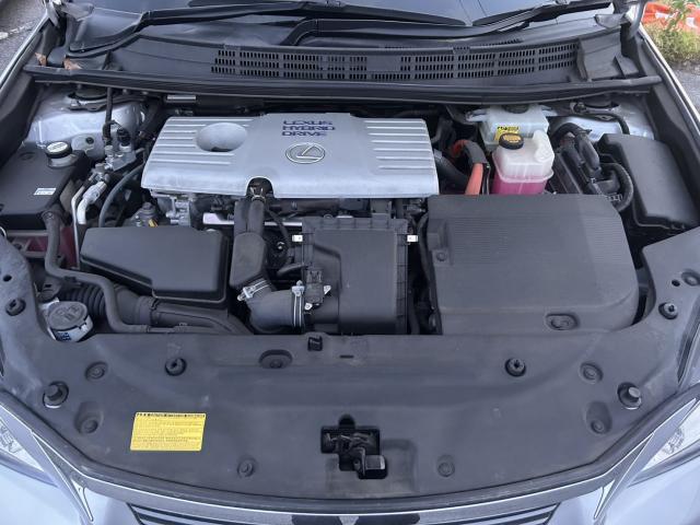 23851265_carP_l_17.jpg