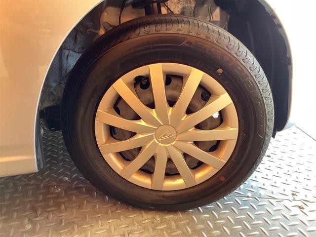 25957842_carP_l_6.jpg