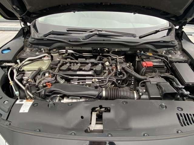 25083926_carP_l_15.jpg