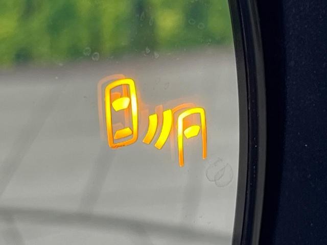 25942462_carP_l_10.jpg