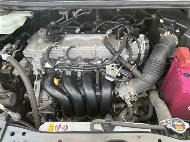 25451221_carP_l_9.jpg