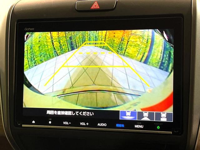 23555711_carP_l_10.jpg