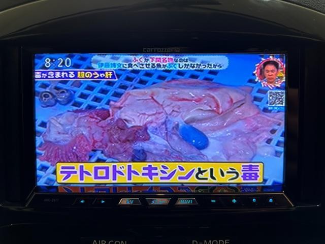 26441490_carP_l_4.jpg