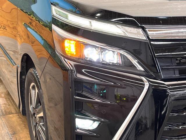 23555724_carP_l_7.jpg