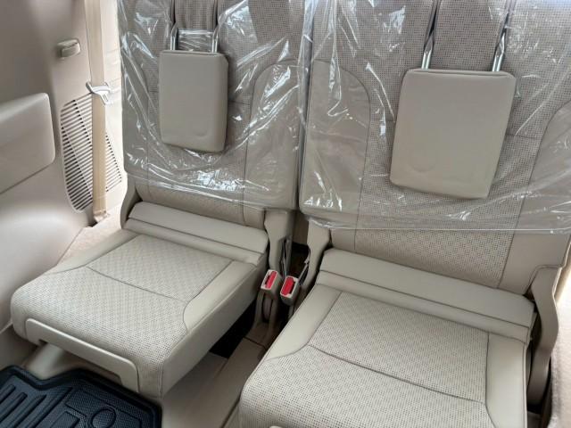 25050514_carP_l_7.jpg