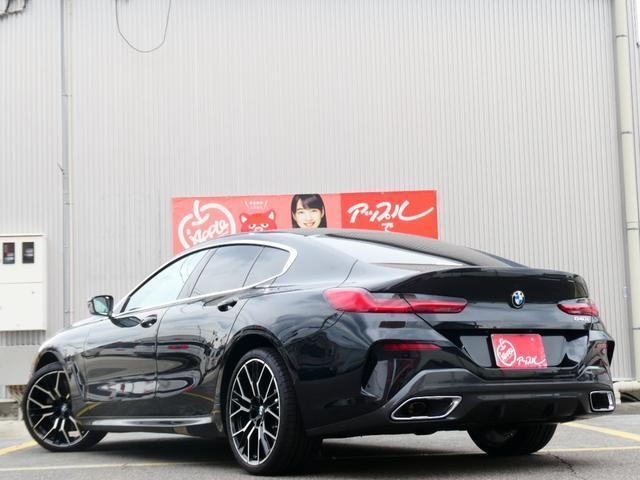 25050811_carP_l_12.jpg