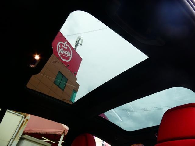 25050811_carP_l_5.jpg
