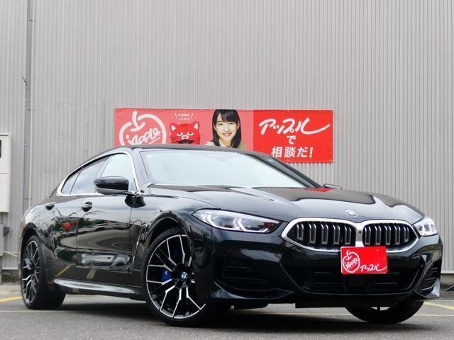25050811_carP_l_7.jpg