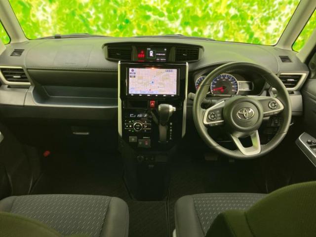 23212548_carP_l_4.jpg