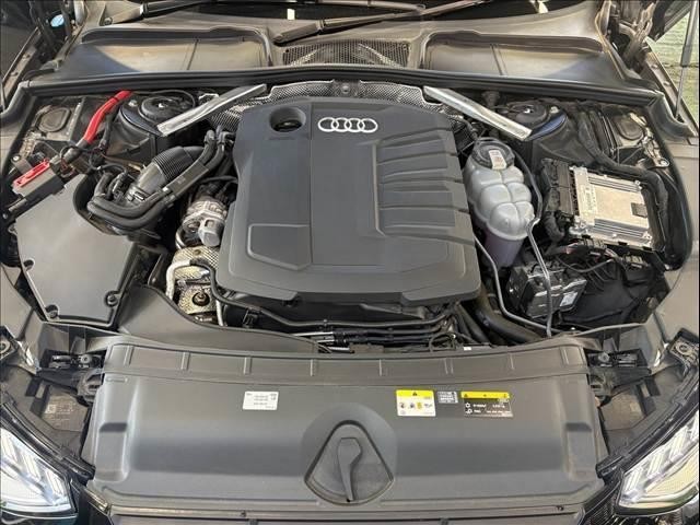 25521783_carP_l_8.jpg