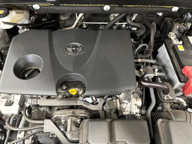 26272368_carP_l_16.jpg