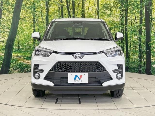 25734634_carP_l_8.jpg
