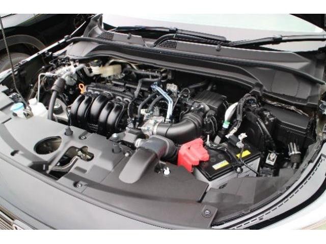 25076566_carP_l_17.jpg