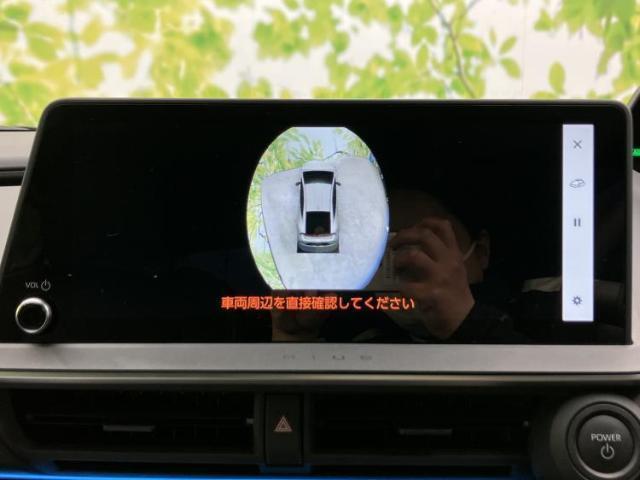 22812840_carP_l_7.jpg