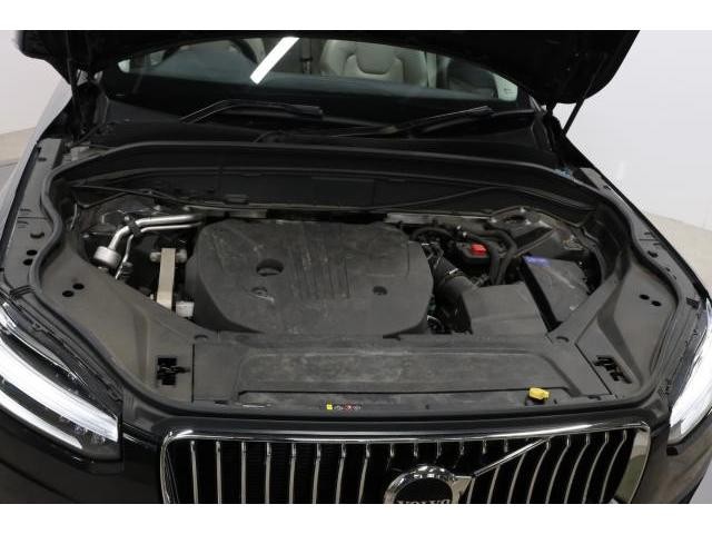 25842865_carP_l_20.jpg