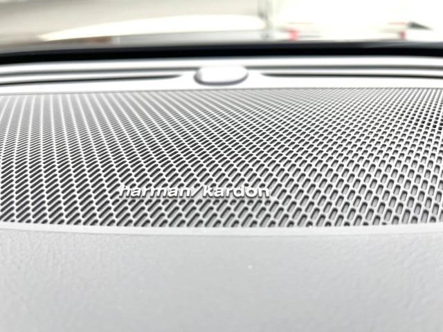 23808534_carP_l_13.jpg