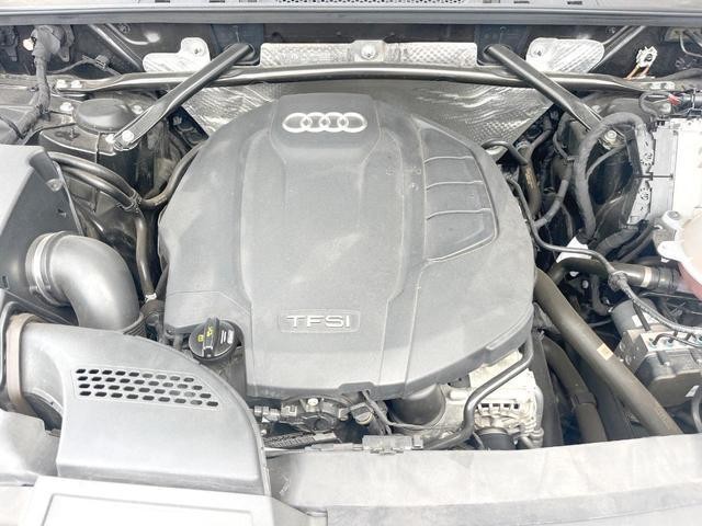 25137811_carP_l_20.jpg