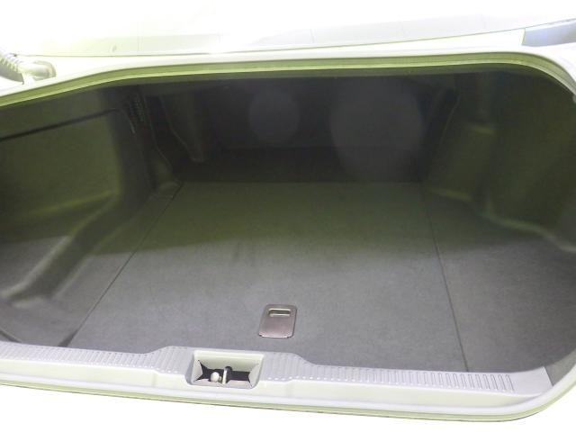 26038060_carP_l_6.jpg