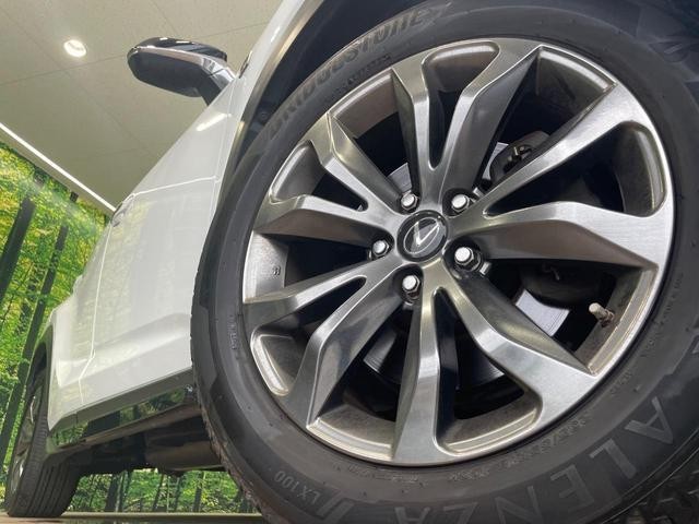 25242101_carP_l_7.jpg