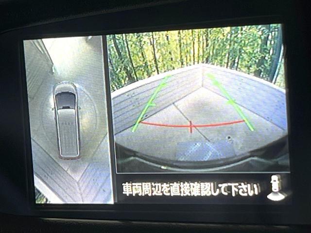 23884875_carP_l_4.jpg