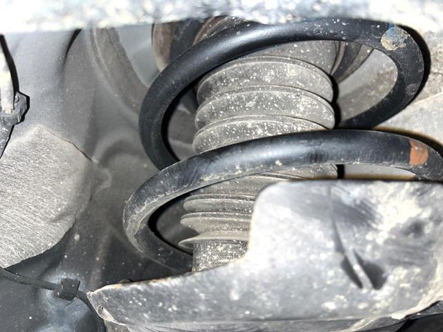 23555736_carP_l_20.jpg