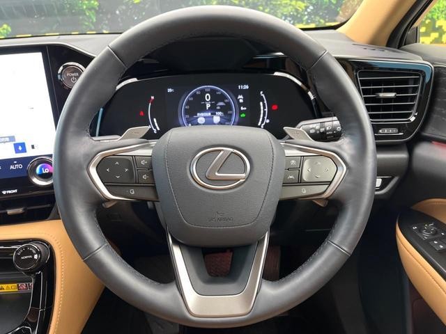 26251579_carP_l_6.jpg