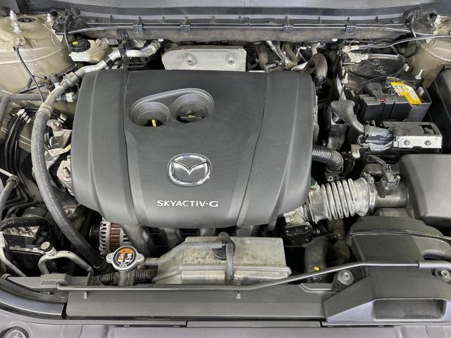 26925111_carP_l_16.jpg