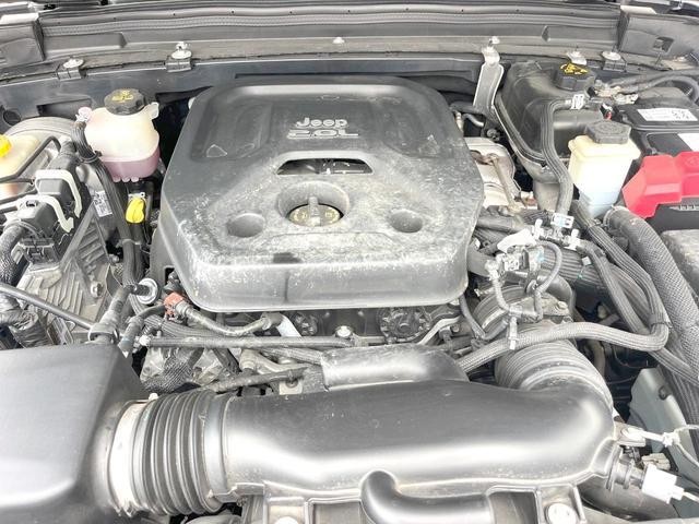 26084262_carP_l_18.jpg