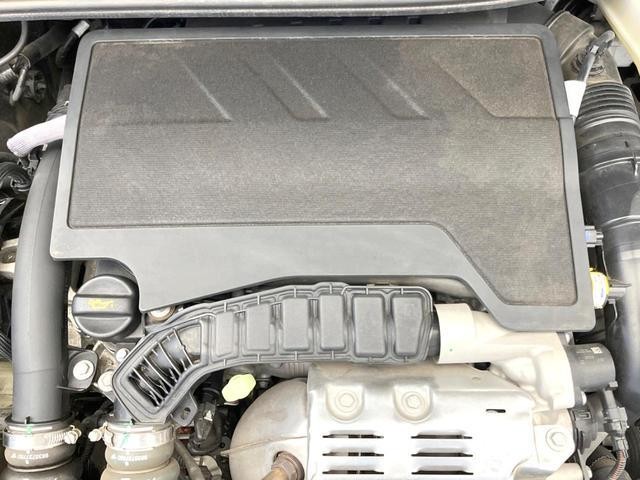 25673096_carP_l_18.jpg