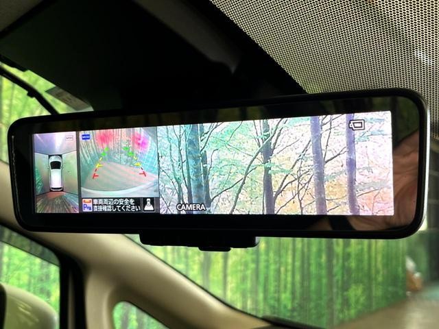 25178632_carP_l_10.jpg