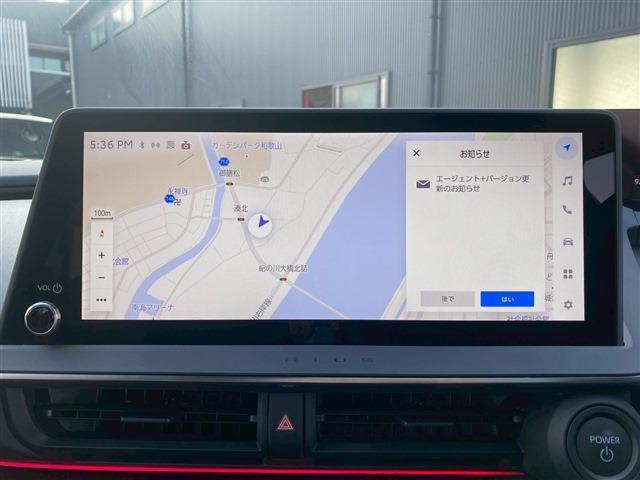 18890892_carP_l_16.jpg