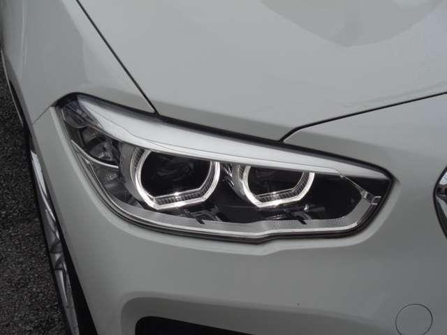 25040480_carP_l_14.jpg