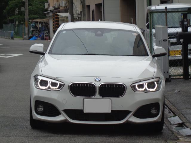 25040480_carP_l_3.jpg