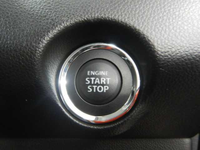 25040574_carP_l_6.jpg