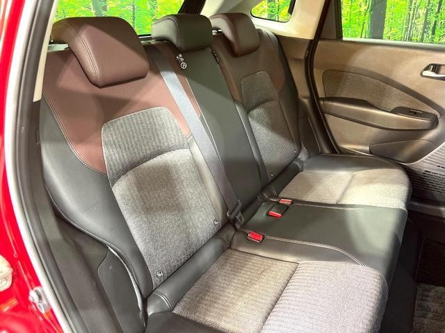 26556959_carP_l_5.jpg