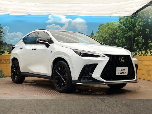 26251582_carP_l_12.jpg