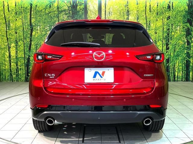 25793009_carP_l_9.jpg