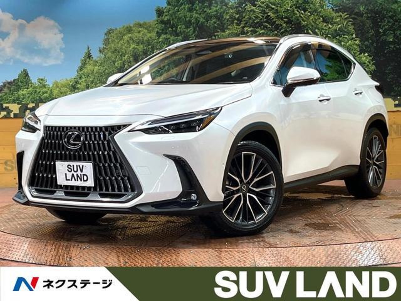 2024 Lexus Nx, photo 1 of 1
