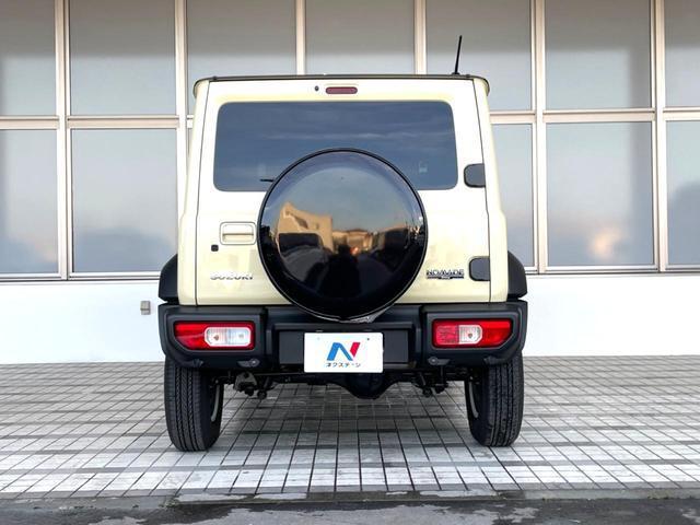 24686300_carP_l_8.jpg