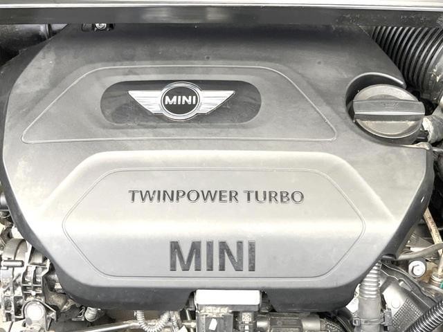 25673099_carP_l_20.jpg