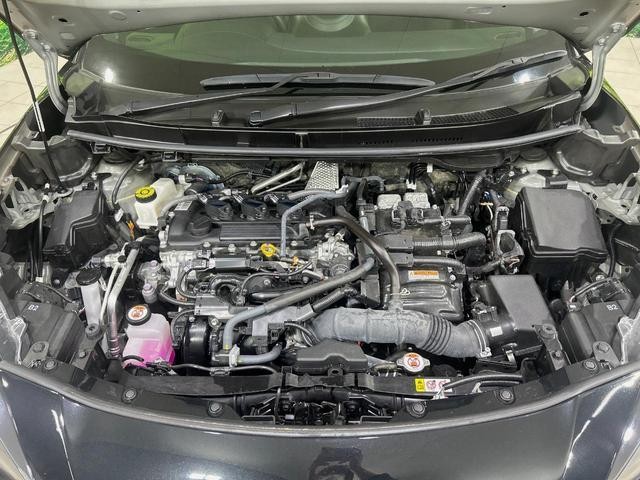 26861730_carP_l_16.jpg
