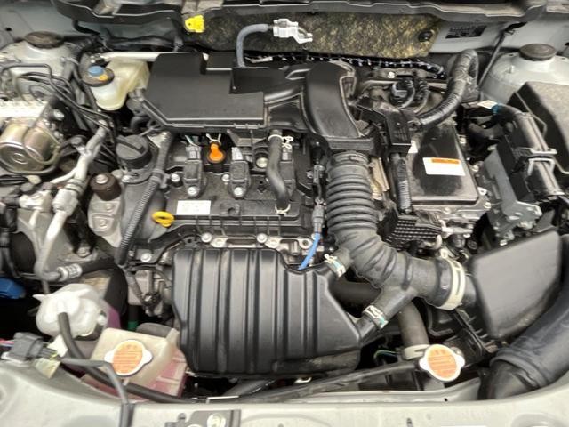 26251586_carP_l_16.jpg
