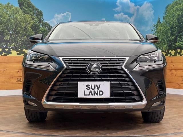 25384253_carP_l_11.jpg