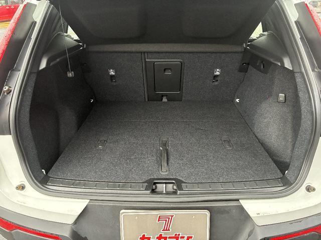 24083829_carP_l_14.jpg